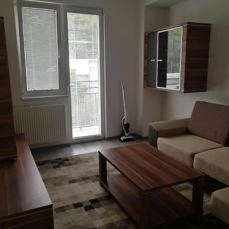 Apartman "K Vystavisku" Apartment เตร็นชีน ภายนอก รูปภาพ