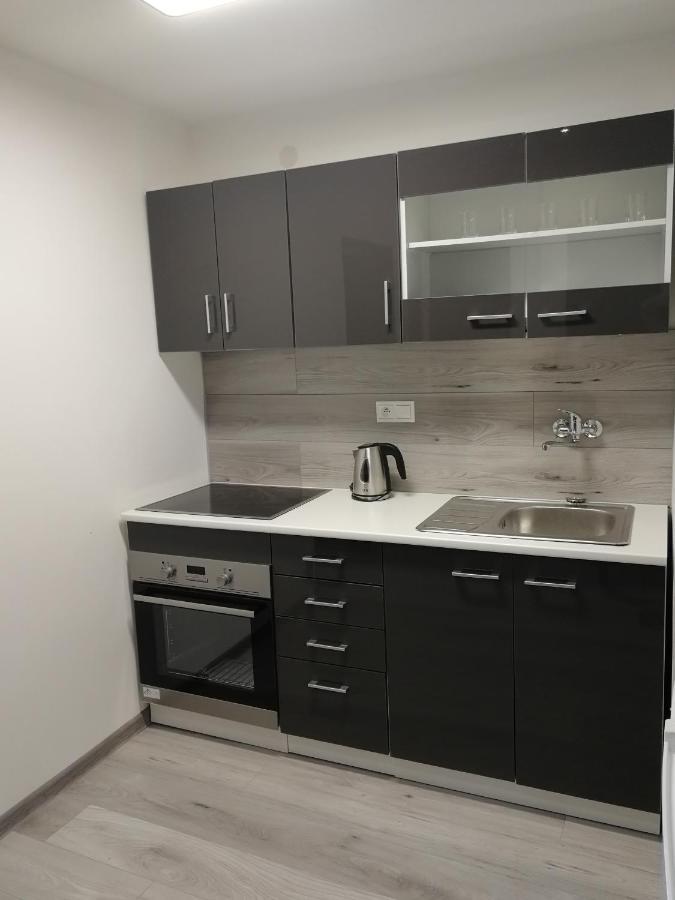 Apartman "K Vystavisku" Apartment เตร็นชีน ภายนอก รูปภาพ
