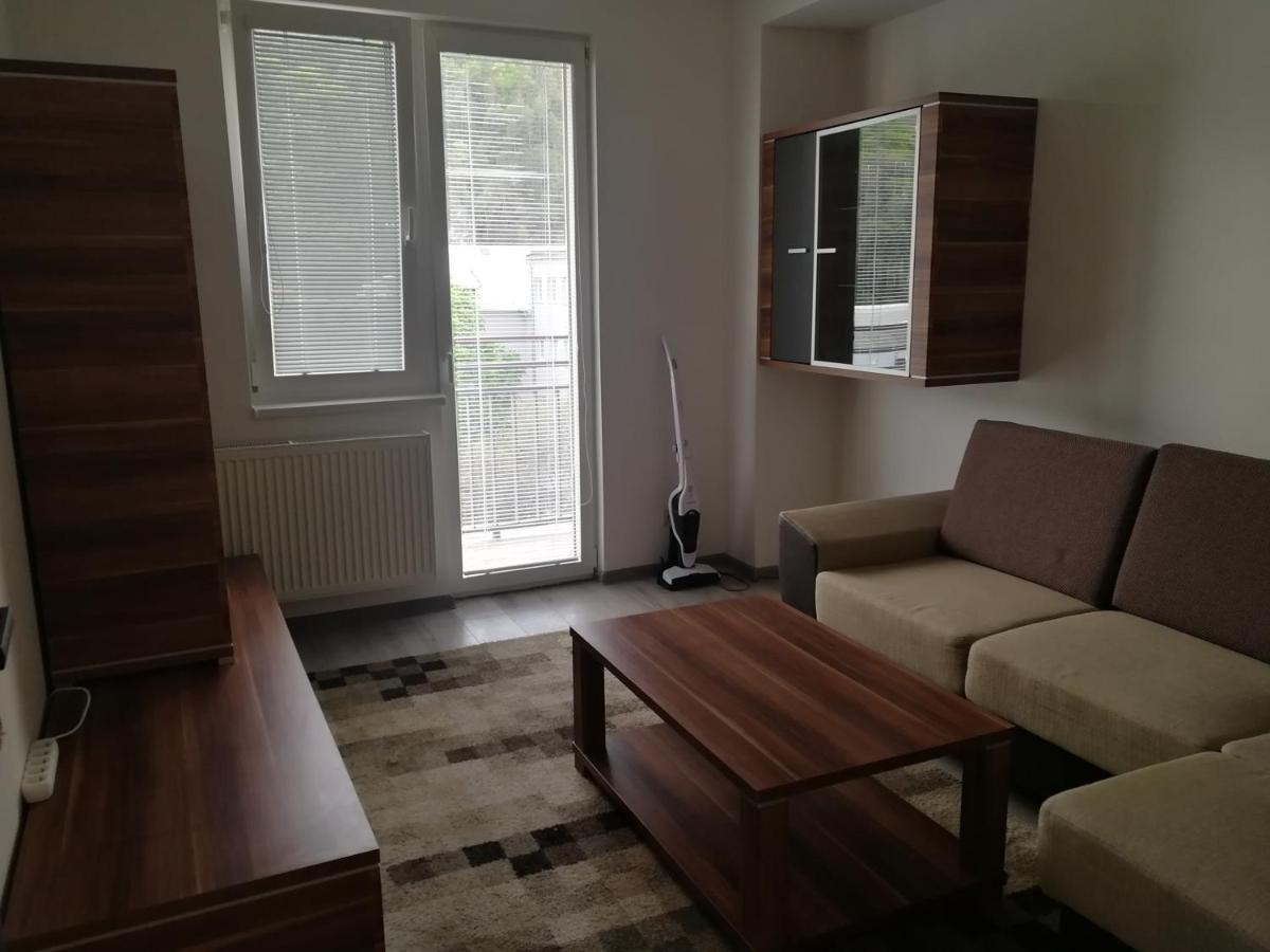 Apartman "K Vystavisku" Apartment เตร็นชีน ภายนอก รูปภาพ