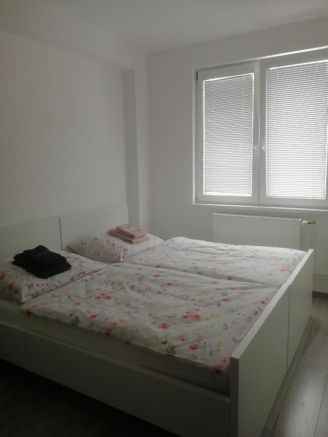 Apartman "K Vystavisku" Apartment เตร็นชีน ภายนอก รูปภาพ
