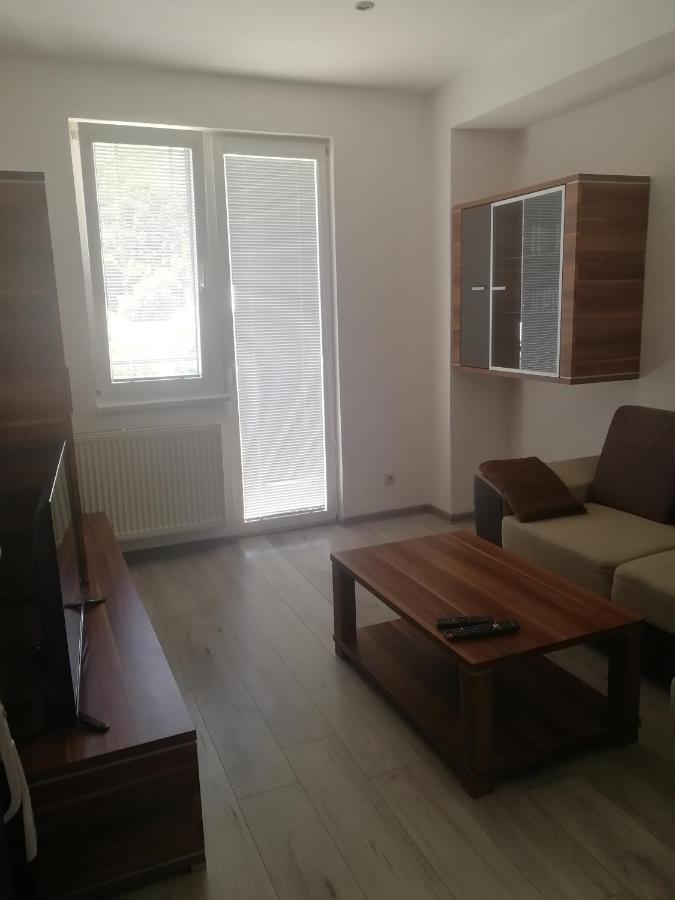 Apartman "K Vystavisku" Apartment เตร็นชีน ภายนอก รูปภาพ